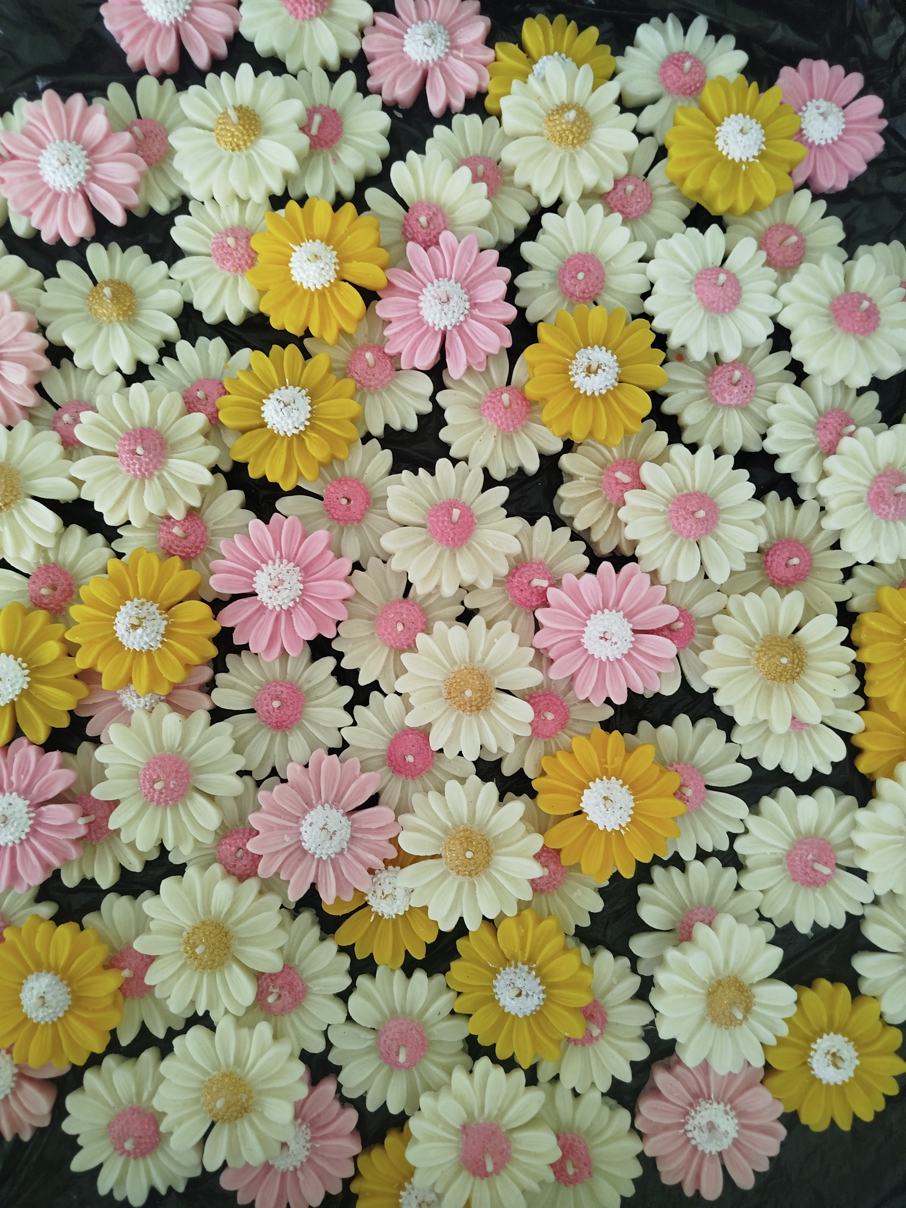 گیفت بابونه